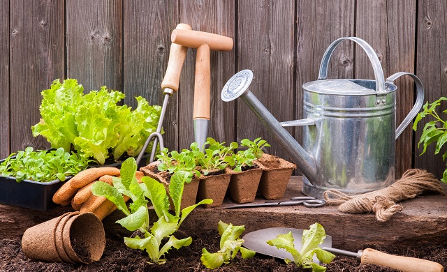How-to-become-a-gardener